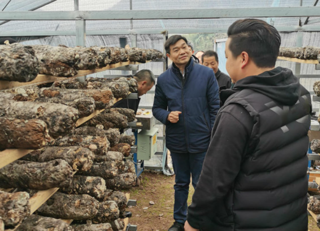 湘西州人大常委会主任龚明汉调研指导古丈县高峰镇乡村振兴工作