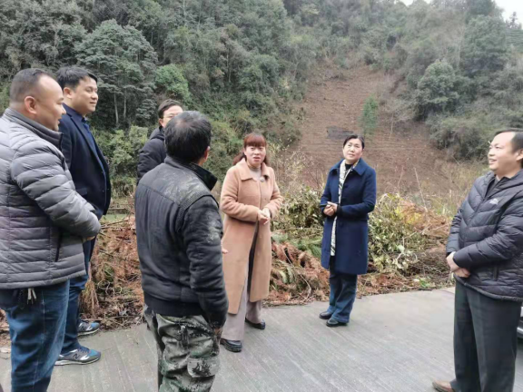 古丈：杨彦芳深入古阳镇长潭村调研产业发展工作