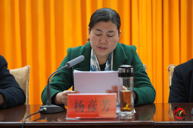 州委常委,县委书记杨彦芳讲话杨彦芳要求,要认真做好脱贫攻坚与乡村