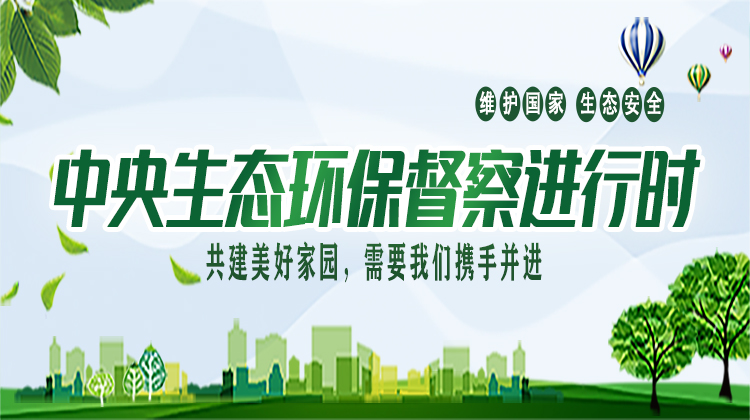 我州召开垃圾焚烧发电项目建设滞后 及小型焚烧炉整改工作会议