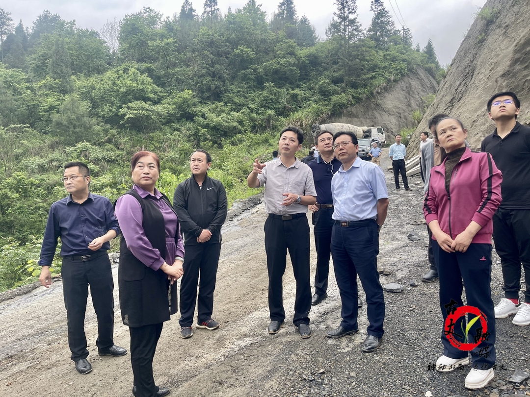 省重点办督导组一行深入我县检查督导张吉怀铁路站场市政配套建设及路外安全环境整治工作