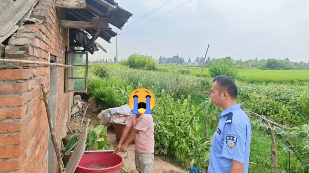 【夏季治安打击整治行动】“消失的甲鱼壳”——鼎城一男子盗窃300余斤甲鱼壳被抓