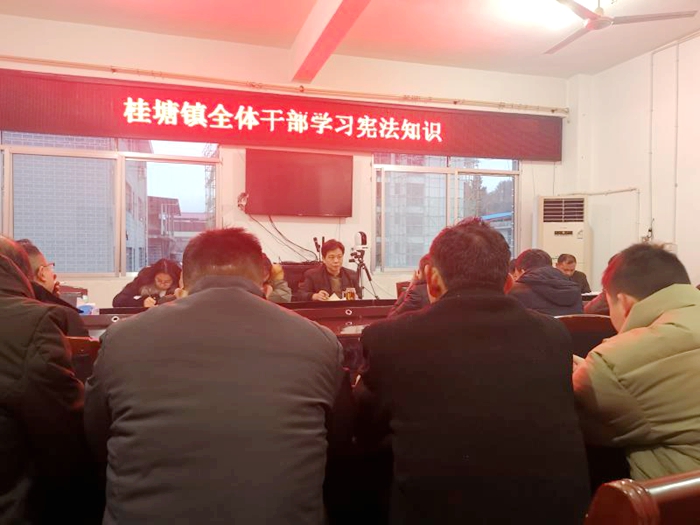 桂塘镇开展“宪法进机关”活动