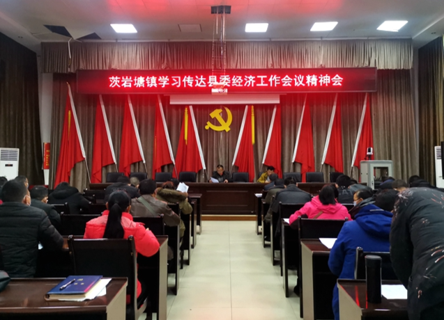 茨岩塘镇迅速学习传达全县经济工作会议精神