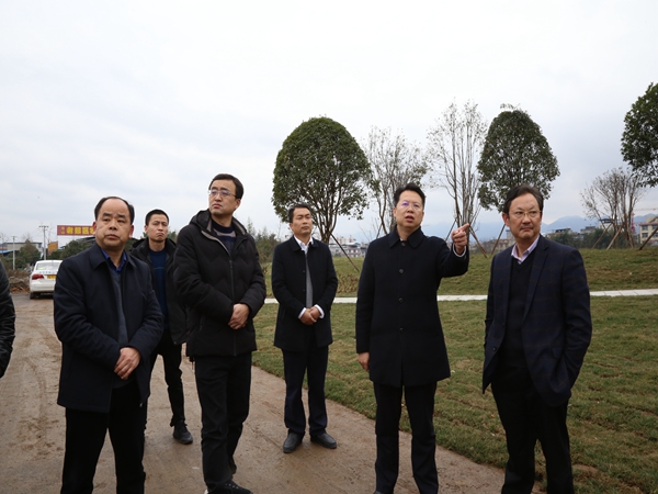 刘冬生调研环境整治和高铁新区民族工艺产业园建设工作