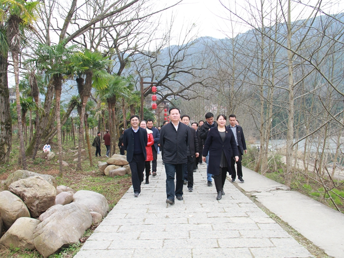 叶红专来龙山专题调研旅游工作