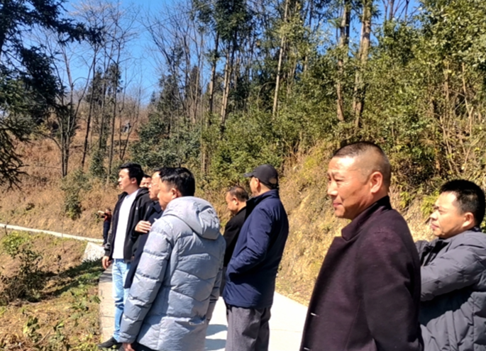 红岩溪镇政府一行深入田间地头调研特色产业