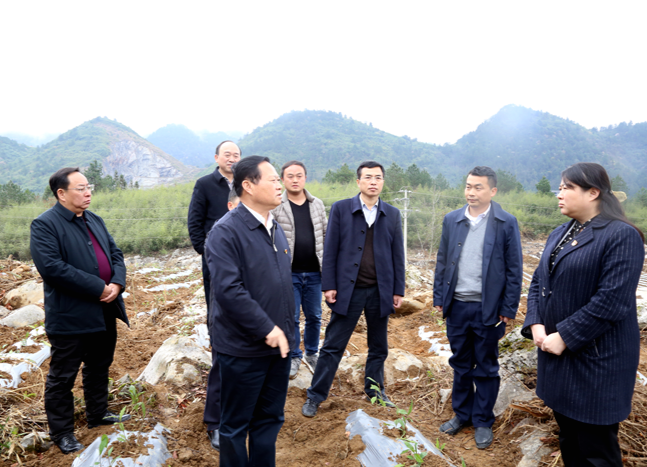 叶红专来龙山调研走访