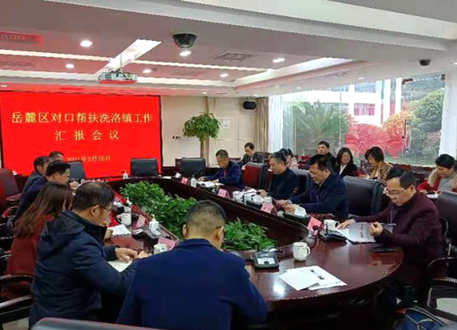 岳麓区：为洗洛镇乡村振兴下半篇文章做好服务