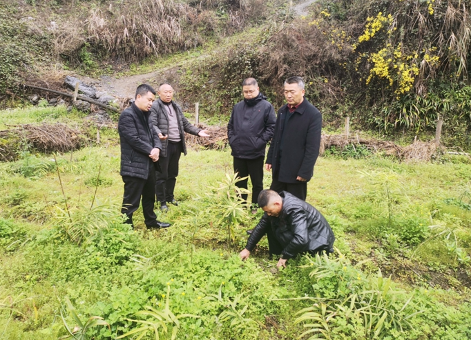 内溪乡集体产业谋划再扬帆起航