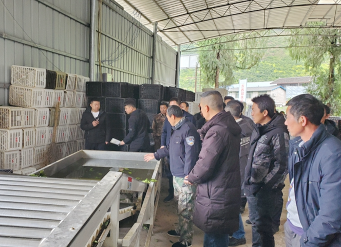 重庆秀山县大溪乡考察组来里耶镇比耳村考察脐橙种植技术