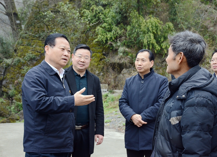 叶红专来龙山调研产业建设工作