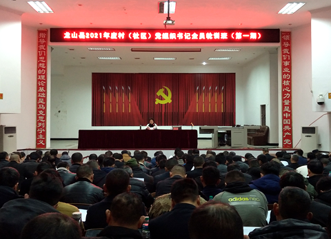 杨清英为龙山轮训村(社区)书记授课