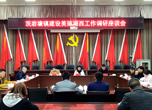 杨清英来龙山调研美丽湘西工作