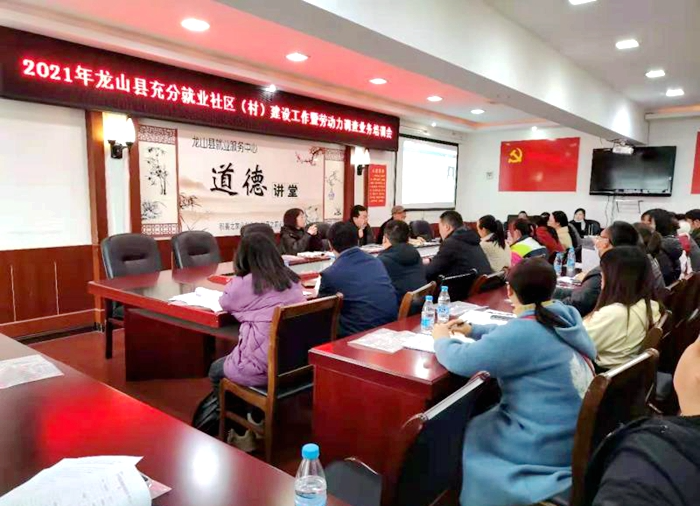 龙山召开充分就业社区（村）建设暨劳动力调查业务培训会