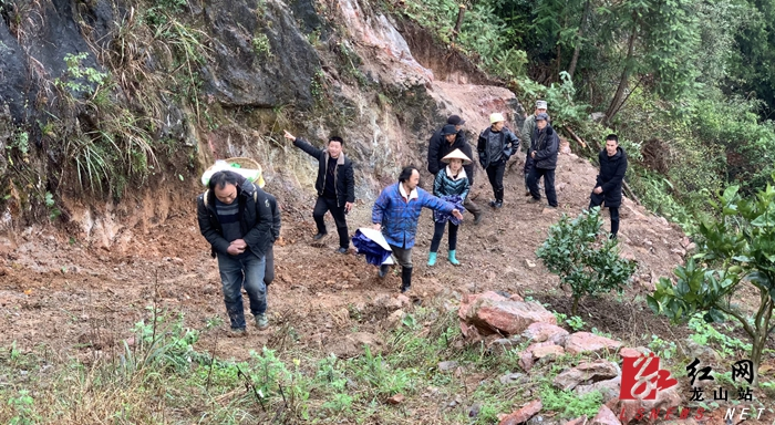 新春走基层|里耶大丰村：走特色产业路 绘就振兴蓝图
