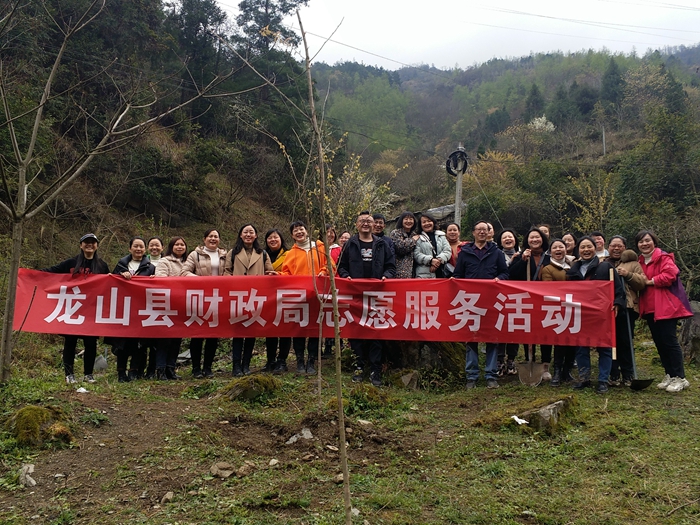 龙山县财政局开展植树节活动倡导绿色生活