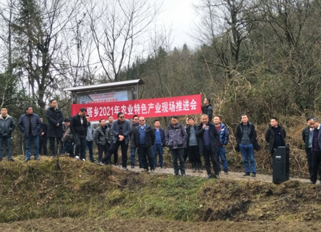 洛塔乡召开农业特色产业现场推进会