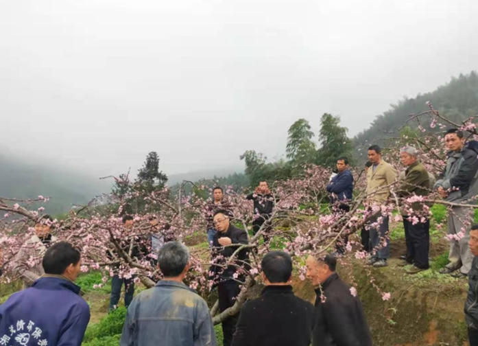 咱果乡农技培训巩固脱贫成果（图）