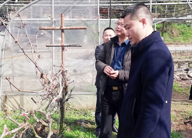 张胜军深入水田坝镇中湾村调研