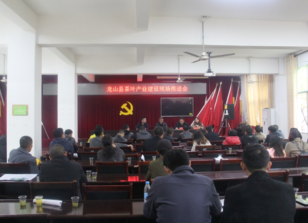 龙山召开茶叶产业建设现场推进会