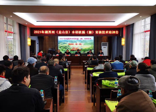 全州水稻机插（抛）育秧技术培训会在龙山召开