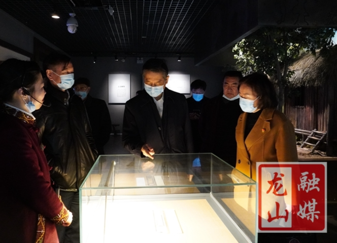 蔡力峰来龙山考察文化旅游工作