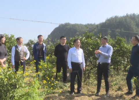 省安装公司来龙山考察调研项目合作