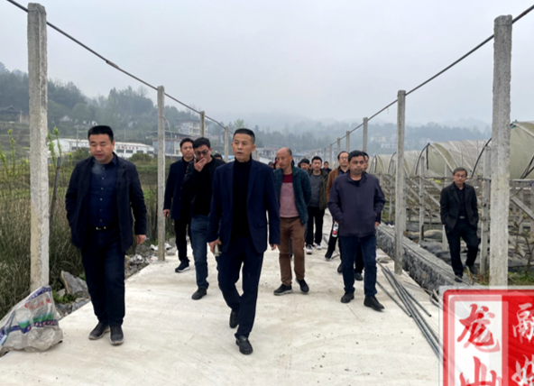 全州2021年高标准农田建设推进会在龙山召开