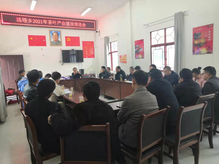 洛塔乡召开2021年茶叶产业建设推进会