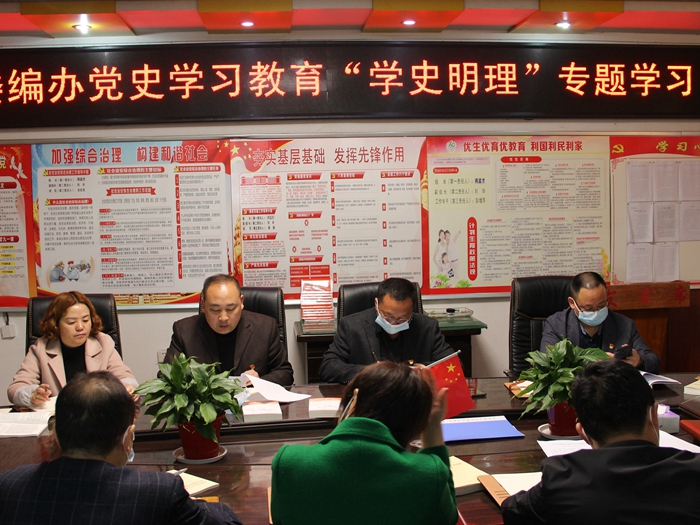 县委编办开展“学史明理”专题学习研讨会