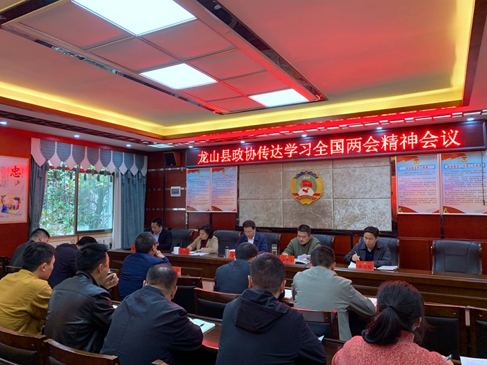 县政协集中学习两会精神并安排部署党史学习教育
