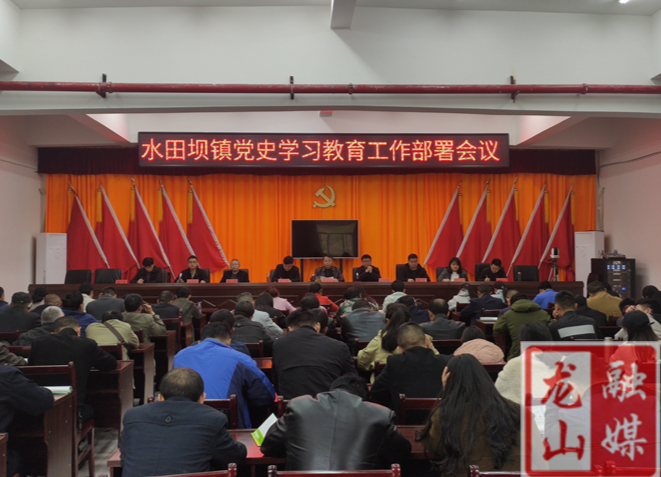 水田坝镇召开党史学习教育工作部署会议