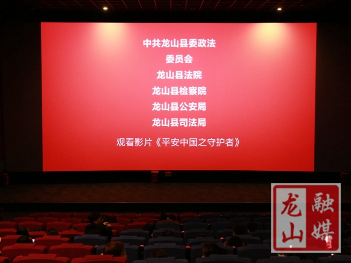 龙山县组织政法干警观影《平安中国之守护者》