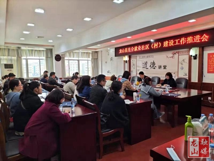 龙山充分就业社区(村)建设工作有序推进