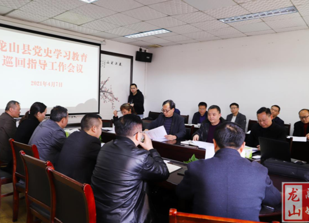 龙山召开党史学习教育巡回指导工作会议