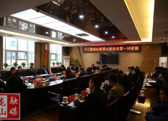 龙山县第十二届县纪委第六次全会进行分组讨论
