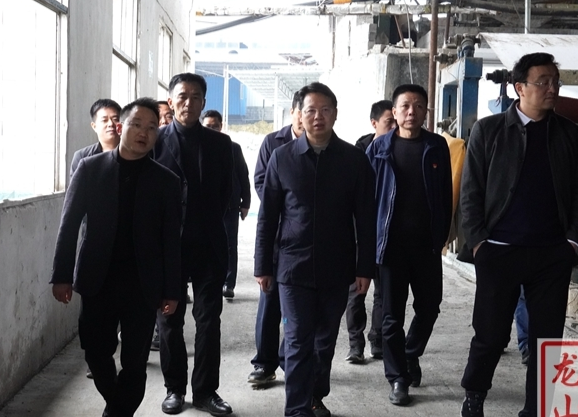 刘冬生调研全县生态环境保护工作