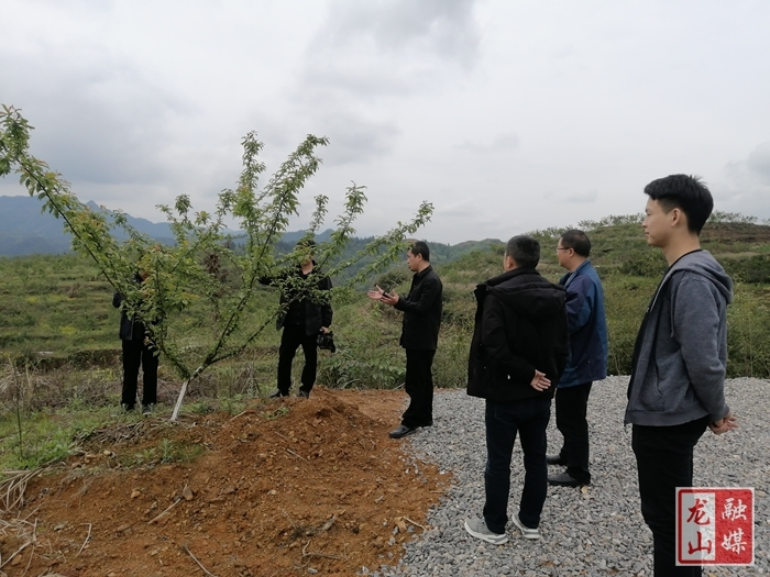 内溪乡 ：发展农业特色产业 助力乡村振兴