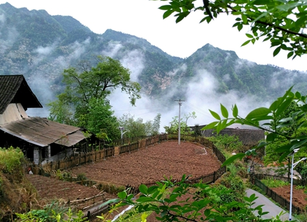 乡村晨景（彭梁心/摄）