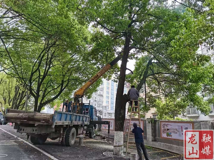 龙山六小：加强警校协作 助力平安校园