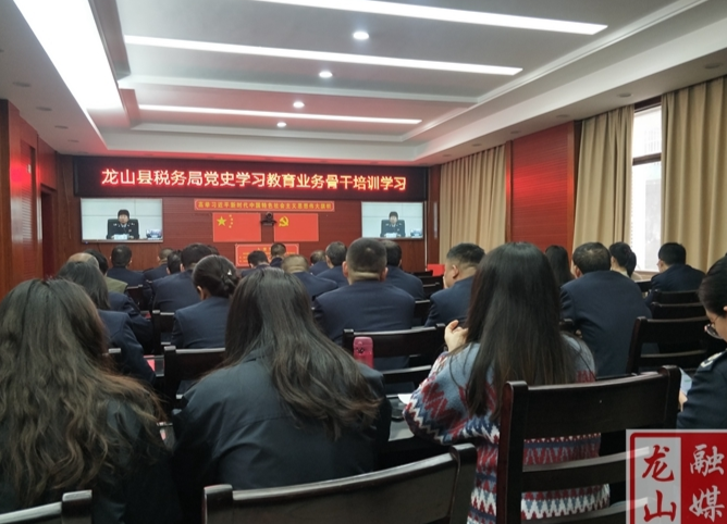 【学党史 明初心】龙山县税务局组织党史学习教育宣讲专题培训
