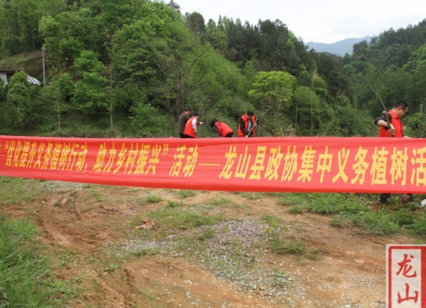 龙山县政协开展“优化提升义务植树行动，助力乡村振兴”活动