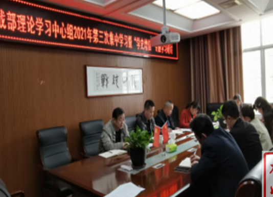 【学党史 明初心】龙山县委统战部理论学习中心组开展第三次集中学习暨“学史增信”专题学习研讨