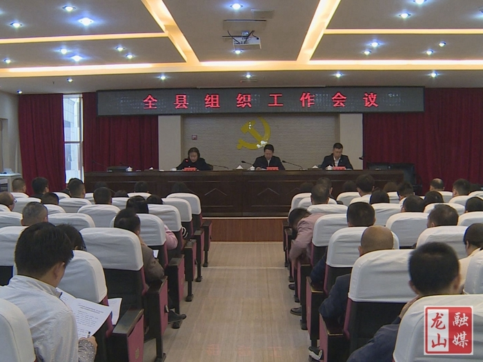 龙山县召开组织工作会议