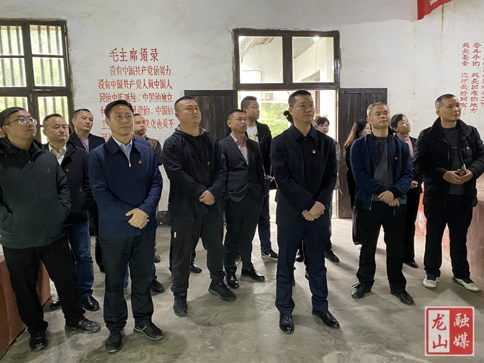 【学党史 明初心】龙山县统一战线开展党史学习教育宣讲暨“为民办实事”义诊活动