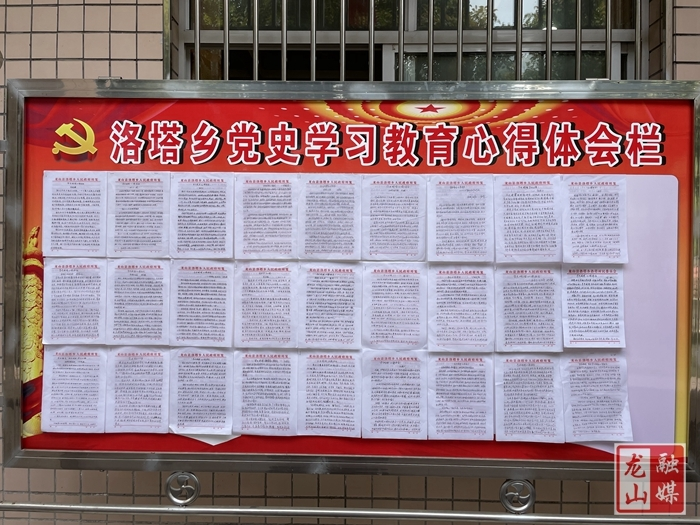 【学党史 明初心】洛塔乡设立党史学习教育心得体会栏（图）