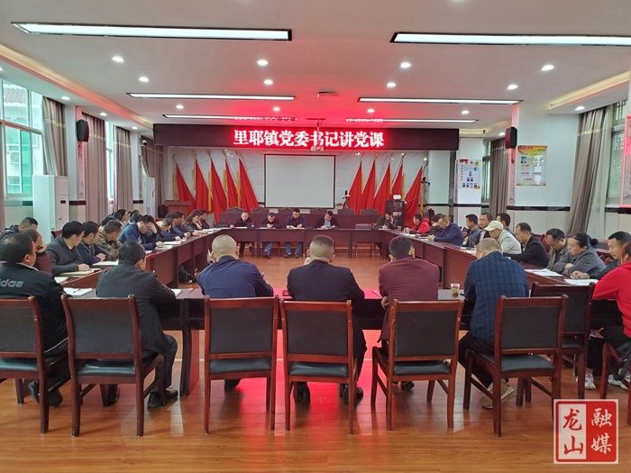 【学党史 明初心】里耶镇召开党史学习教育座谈会