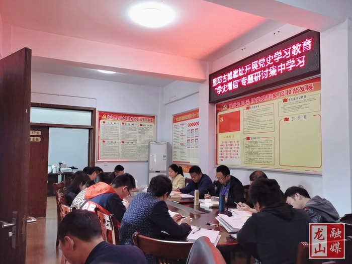 【学党史 明初心】里耶古城遗址管理处开展第二次集中学习暨“学史增信”专题学习研讨会