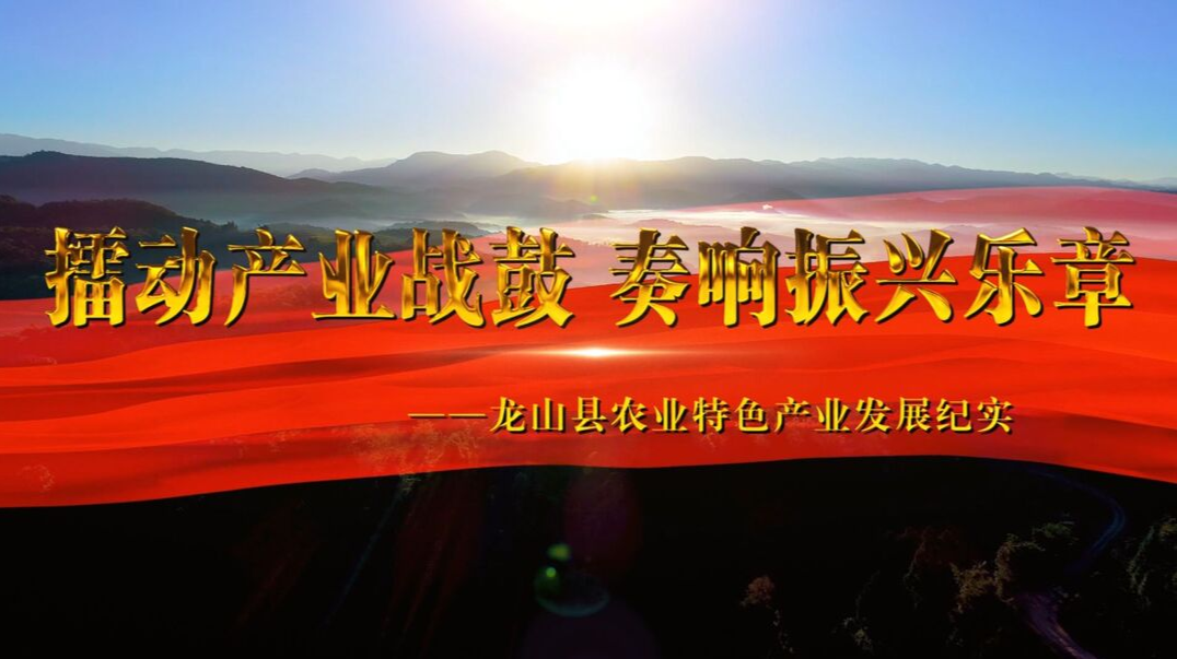 龙山县农业特色产业发展纪实｜擂动产业战鼓 奏响振兴乐章